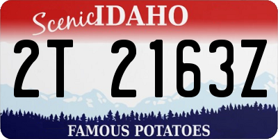 ID license plate 2T2163Z