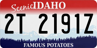 ID license plate 2T2191Z