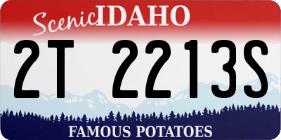 ID license plate 2T2213S