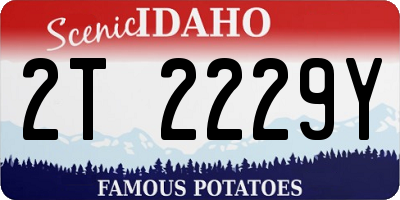 ID license plate 2T2229Y