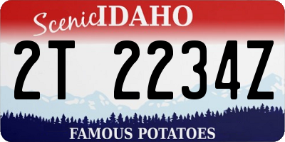 ID license plate 2T2234Z