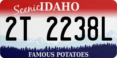 ID license plate 2T2238L