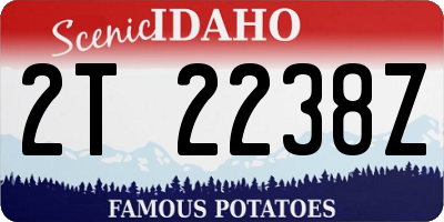 ID license plate 2T2238Z