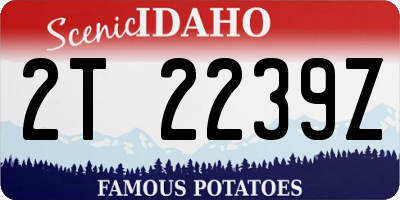ID license plate 2T2239Z