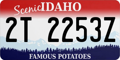 ID license plate 2T2253Z