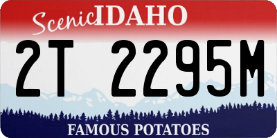 ID license plate 2T2295M