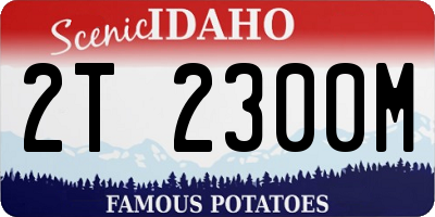 ID license plate 2T2300M