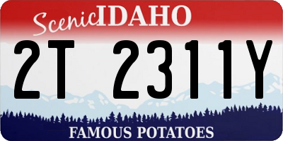 ID license plate 2T2311Y