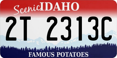 ID license plate 2T2313C