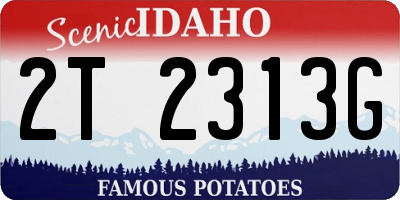 ID license plate 2T2313G