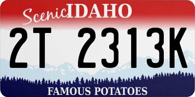 ID license plate 2T2313K
