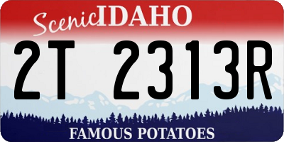 ID license plate 2T2313R