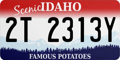 ID license plate 2T2313Y