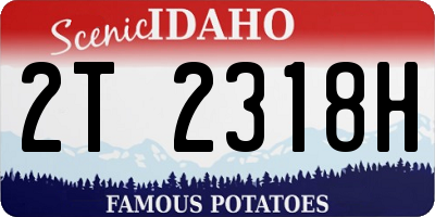 ID license plate 2T2318H