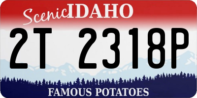 ID license plate 2T2318P
