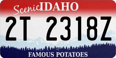 ID license plate 2T2318Z