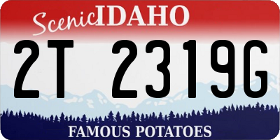 ID license plate 2T2319G