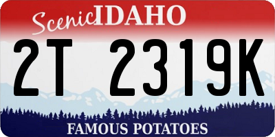 ID license plate 2T2319K