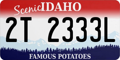 ID license plate 2T2333L