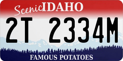ID license plate 2T2334M