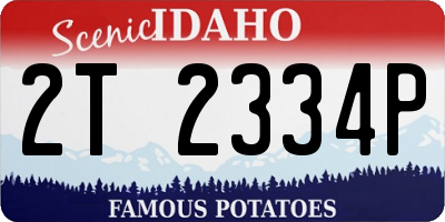 ID license plate 2T2334P