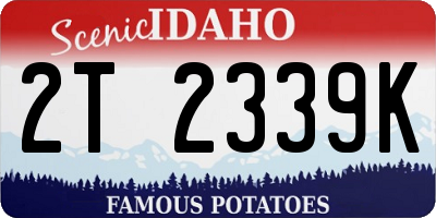 ID license plate 2T2339K