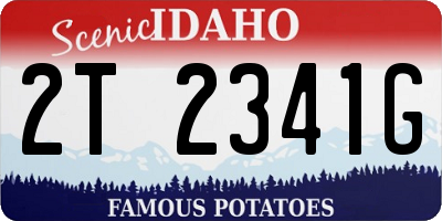 ID license plate 2T2341G