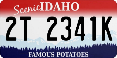 ID license plate 2T2341K