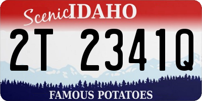 ID license plate 2T2341Q