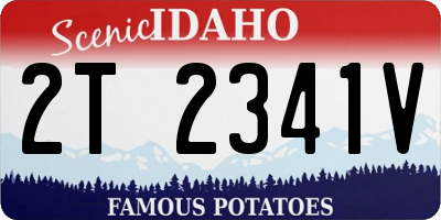 ID license plate 2T2341V