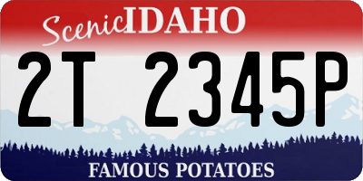ID license plate 2T2345P