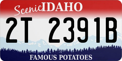 ID license plate 2T2391B