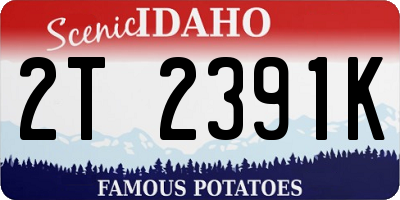 ID license plate 2T2391K