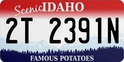 ID license plate 2T2391N