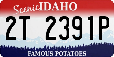 ID license plate 2T2391P