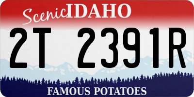 ID license plate 2T2391R
