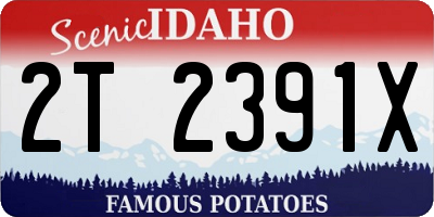 ID license plate 2T2391X
