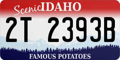 ID license plate 2T2393B