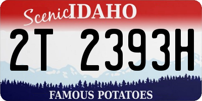 ID license plate 2T2393H