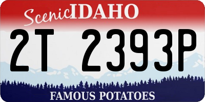 ID license plate 2T2393P