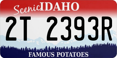 ID license plate 2T2393R