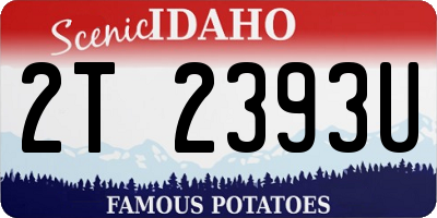ID license plate 2T2393U