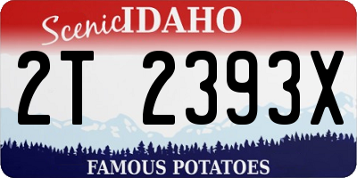 ID license plate 2T2393X