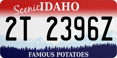 ID license plate 2T2396Z