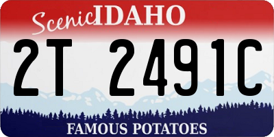 ID license plate 2T2491C