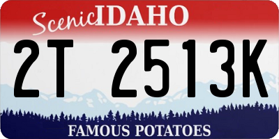 ID license plate 2T2513K