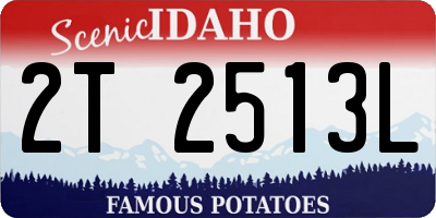 ID license plate 2T2513L