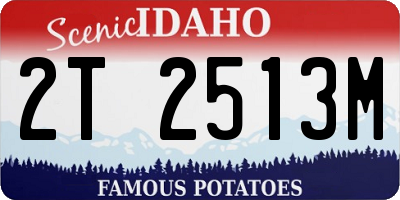 ID license plate 2T2513M