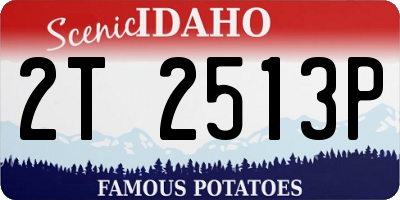 ID license plate 2T2513P