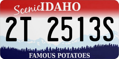 ID license plate 2T2513S
